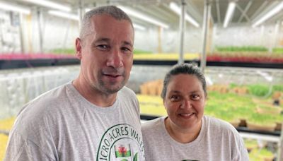 The farmers growing food in garages and barns