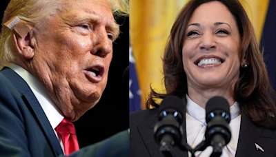 Kamala Harris vs Donald Trump: Who Has Better Approval Ratings? Latest Data Here