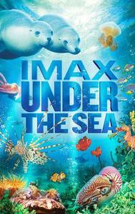 Under the Sea