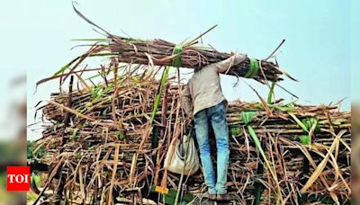 Rs 1,898 crore loan for 13 sugar mills, 10 tied to Maharashtra NCP, BJP netas | Kolhapur News - Times of India