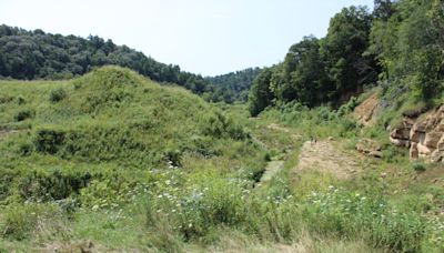 After Wisconsin dams failed in a massive storm, 23 could be decommissioned. What to know.