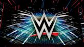 Major Update on WWE Superstar’s Injury Status