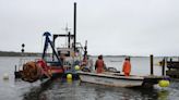 Cotuit Bay channel dredge, Dead Neck beach project gets under way