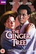 The Ginger Tree (TV series)