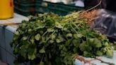 El cilantro, a precio de oro