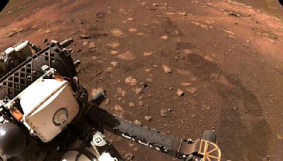 NASA: cómo es la fascinante roca encontrada en Marte que podría dar pistas de vida antigua - La Tercera