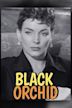 Black Orchid (film)