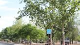 El Ayuntamiento de Puertollano cede el parque de Fernando el Santo para los trabajos de Adif