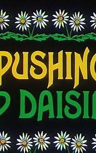 Pushing Up Daisies