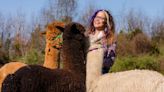 Local hairdresser 'accidentally' starts alpaca farm