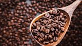 ​羅布斯塔咖啡豆供應緊張 批發價創45年新高