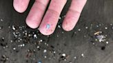 What are the potential health risks of consuming microplastics?