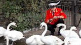 Britain's swans get new owner with royal succession