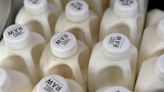 Alternative health devotees in California seek raw milk infected with bird flu ‘to boost immunity’