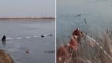 Bystanders crawl on frozen lake to save trapped teenagers in China