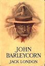 John Barleycorn (novel)