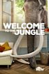 Welcome to the Jungle