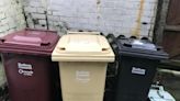 'Ridiculous': Residents' concerns after changes to bin collections announced