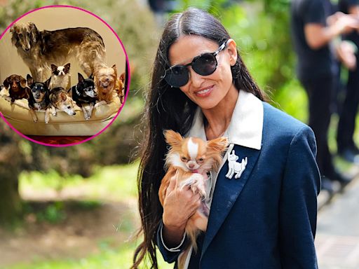 Demi Moore’s Love Life Is Going to the Dogs! Actress Is Putting Her Pets Before Dating