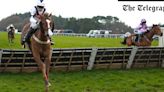 Cheltenham and Aintree to replace traditional birch hurdles with ‘safer’ foam padding