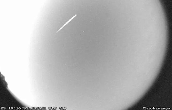 Meteor shower from Halley's Comet to light up night skies