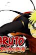 Naruto Shippuden the Movie