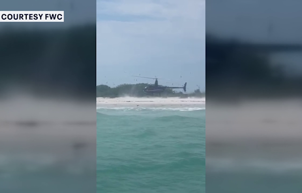 Helicopter pilot charged after landing on top of protected birds on Egmont Key: FWC