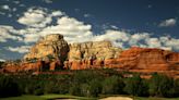 Javelinas destroy grass at scenic Seven Canyons Golf Course in Sedona, Arizona