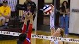 Dripping Springs' Henley Anderson headlines our All-Central Texas volleyball team (again!)