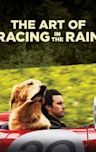 The Art of Racing in the Rain (film)