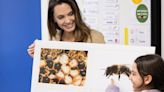 How Angelina Jolie Is Sharing Her Bee-lief in Biodiversity with Children