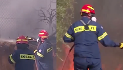 Woman started wildfires so she could flirt with sexy firefighters