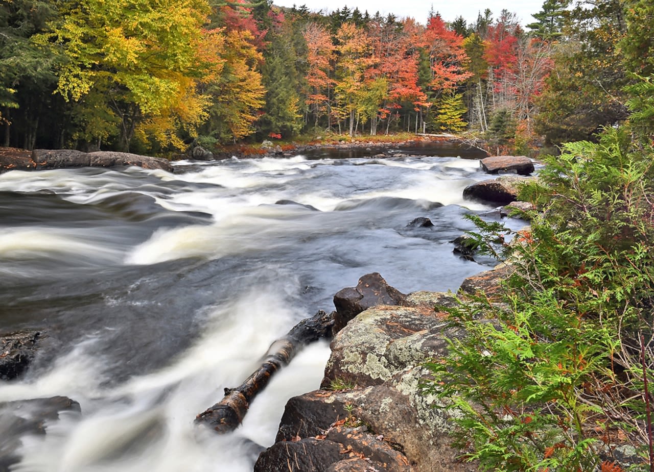 Sorry, New England: 2024′s best fall foliage will be in NY, forecast predicts