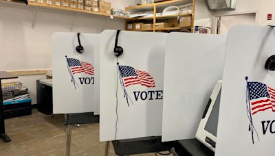 Wyoming’s elections will look different this year - here's what voters need to know