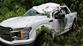 2 men critically injured after tree falls on their vehicles during storm in Michigan