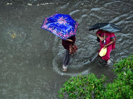 Maharashtra rains: Group of picnickers rescued from hill in rain-soaked Navi Mumbai