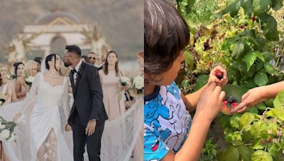 Natasa Stankovic Shares Adorable Video Of Son Agastya Picking Blackberries After Hardik Pandya Separation - News18