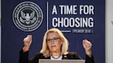 'I don't agree with her on anything,' California Democrats say of Liz Cheney — as they donate to her race