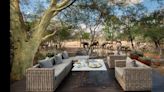 Luxury Safari in Africa: A Journey Beyond Expectations