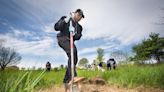 Cleveland Metroparks launches tree planting guide on Earth Day