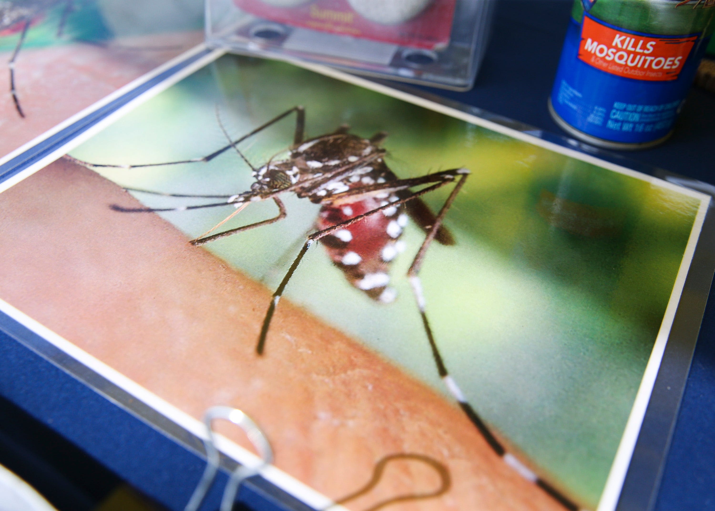 Dengue reaches historic levels in the Americas and closer to home