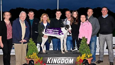 English owners win €15,000 Race of Champions purse as Pat Buckley-trained Coolavanny Otto beats favourite Dashing Toro in final