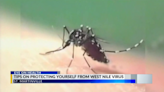 Local mosquito spray company gives tips on how to protect yourself, others from West Nile virus
