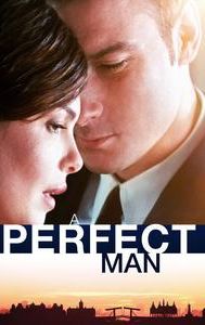 A Perfect Man (2013 film)