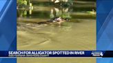 Watch: Alligator spotted swimming in Pennsylvania river