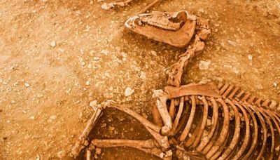 França: Arqueólogos encontram restos de cavalos enterrados há 2 mil anos