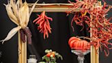 RHS Chelsea 2024: Vegetables as you've never seen them before