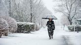 With deep snow in western Mass., MetroWest braces for possible power outages