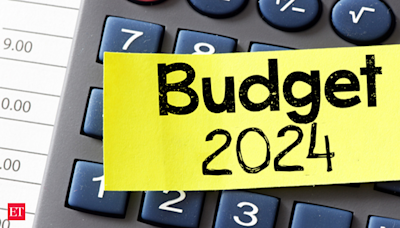 What does Budget 2024 hold for India’s energy transition?