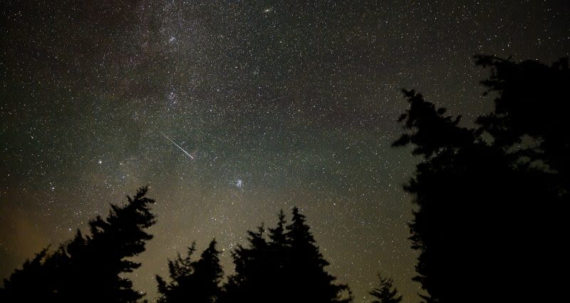 Perseid meteor shower begins: Here’s the best time to watch it